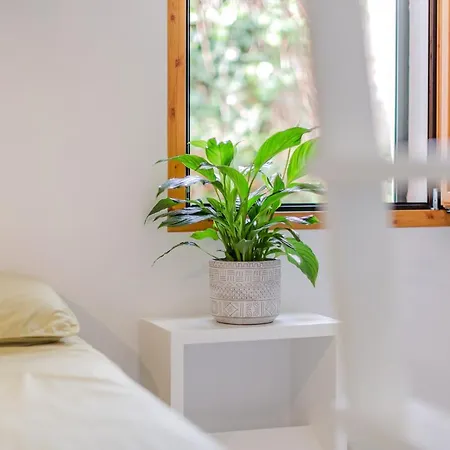 Apartamento Estrella Arenal d'en Castell